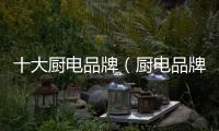 十大廚電品牌（廚電品牌）