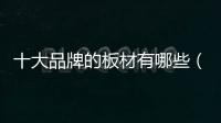 十大品牌的板材有哪些（中國板材10大品牌）