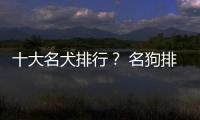 十大名犬排行？ 名狗排名大全