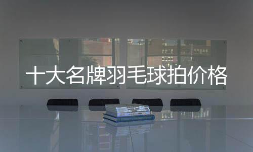 十大名牌羽毛球拍價格