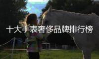 十大手表奢侈品牌排行榜（手表品奢侈品牌）