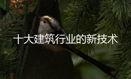 十大建筑行業(yè)的新技術(shù)