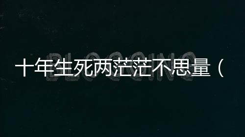 十年生死兩茫茫不思量（關于十年生死兩茫茫不思量的基本情況說明介紹）