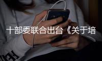十部委聯(lián)合出臺《關(guān)于培育發(fā)展標(biāo)準(zhǔn)化服務(wù)業(yè)的指導(dǎo)意見》,行業(yè)資訊