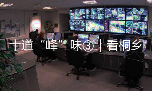 十道“峰”味③｜看桐鄉(xiāng)如何打造科技創(chuàng)新“超級引擎”