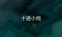 十進(jìn)小崗