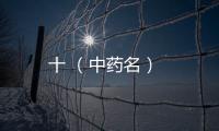 十 （中藥名）