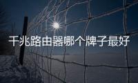 千兆路由器哪個(gè)牌子最好信號(hào)最穩(wěn)定（路由器哪個(gè)牌子最好信號(hào)最穩(wěn)定）
