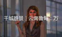 千城勝景｜云南魯甸：萬畝櫻桃花盛開