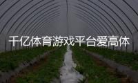 千億體育游戲平臺愛高體育公司