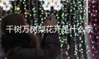 千樹萬樹梨花開是什么季節 千樹萬樹梨花開是什么樣的景色