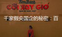 千家假央國企的秘密：百萬買身份，假央企變身集團公司
