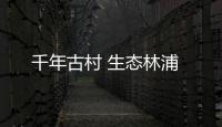 千年古村 生態林浦