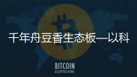 千年舟豆香生態板—以科技營造“豆香”家居生活