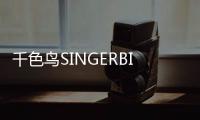 千色鳥SINGERBIRD彩妝 口碑品牌讓你顏值當道