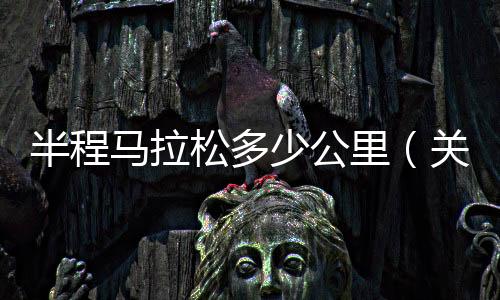 半程馬拉松多少公里（關(guān)于半程馬拉松多少公里的基本情況說明介紹）