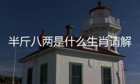 半斤八兩是什么生肖請解釋（半斤八兩是什么生肖）