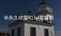 半永久紋眉和3d霧眉哪個好 半永久紋眉和3d霧眉的區別