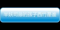 半妖司藤的孩子西竹是誰(shuí)生的，司藤秦放之間有血緣關(guān)系嗎？