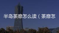 半島荼靡怎么讀（荼靡怎么讀）
