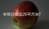 半年只賣(mài)出26平方米?李亞鵬雪山小鎮(zhèn)已成債務(wù)小鎮(zhèn)