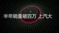半年銷量破百萬(wàn) 上汽大眾領(lǐng)跑乘用車市場(chǎng)