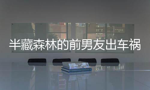 半藏森林的前男友出車禍當場去世 死前還在維護出軌女友