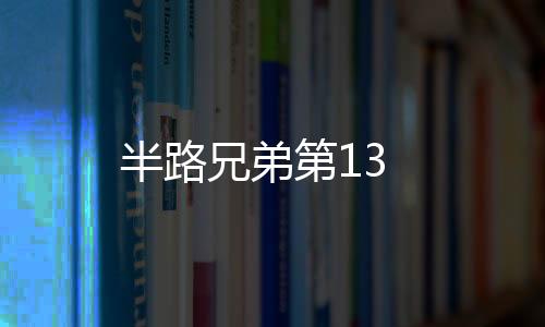 半路兄弟第13