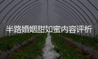 半路婚姻甜如蜜內容評析