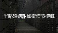 半路婚姻甜如蜜情節梗概