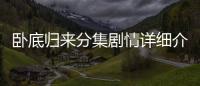 臥底歸來(lái)分集劇情詳細(xì)介紹(1