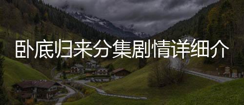 臥底歸來分集劇情詳細(xì)介紹(1