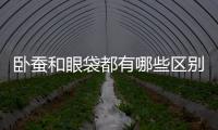 臥蠶和眼袋都有哪些區(qū)別