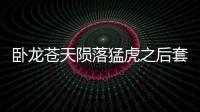 臥龍蒼天隕落猛虎之后套裝有什么效果