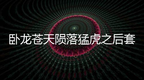 臥龍蒼天隕落猛虎之后套裝有什么效果