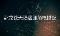 臥龍蒼天隕落涯角槍搭配什么技能比較好