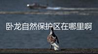 臥龍自然保護區在哪里啊怎么走啊（臥龍自然保護區在哪）