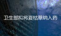 衛生部擬將夏枯草納入藥食同源目錄