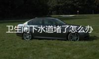 衛生間下水道堵了怎么辦 衛浴下水道通堵