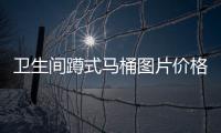 衛生間蹲式馬桶圖片價格（蹲式馬桶價格）