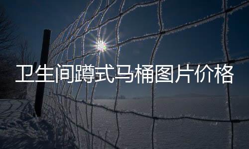 衛生間蹲式馬桶圖片價格（蹲式馬桶價格）