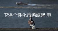 衛(wèi)浴個性化市場崛起 電商模式解決推廣難題