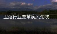 衛(wèi)浴行業(yè)變革疾風(fēng)勁吹 消費(fèi)者是永遠(yuǎn)的靠前位