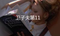衛(wèi)子夫第11