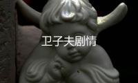 衛子夫劇情
