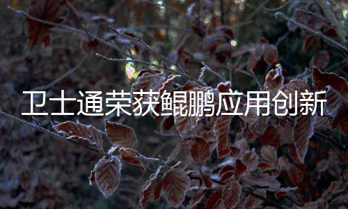 衛(wèi)士通榮獲鯤鵬應用創(chuàng)新大賽2022四川賽區(qū)