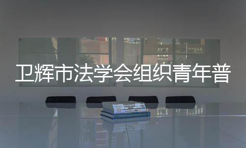 衛輝市法學會組織青年普法志愿者開展法治安全教育課