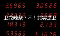 衛龍辣條？不！其實是衛龍辣條包包噠