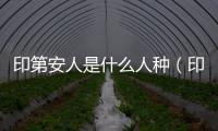 印第安人是什么人種（印第安人是中國殷商后裔嗎）