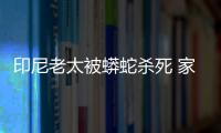 印尼老太被蟒蛇殺死 家屬砍蛇報仇